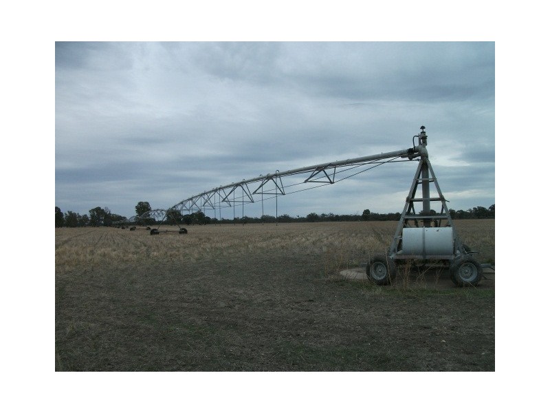 Barham NSW 2732