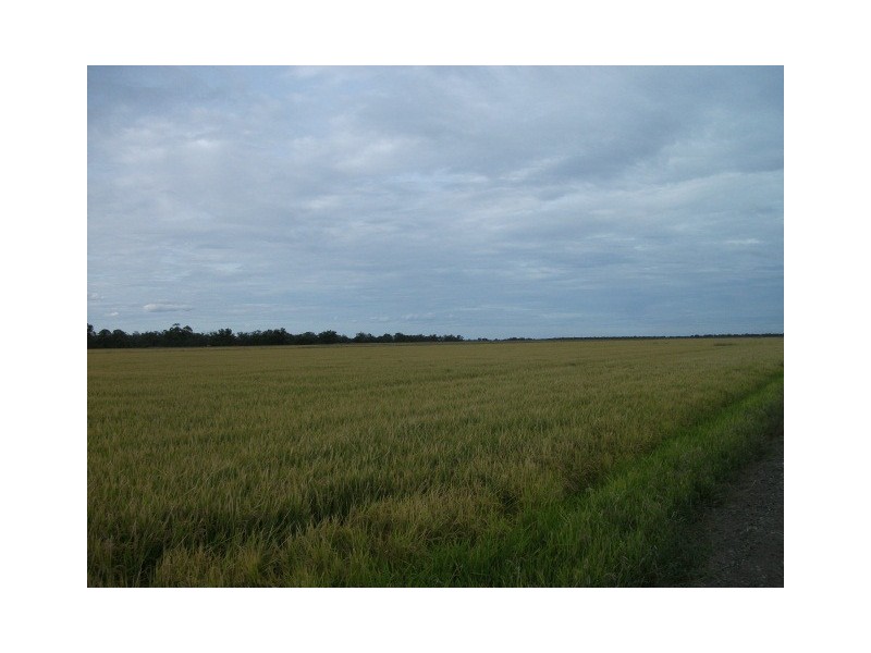 Barham NSW 2732