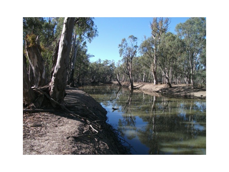 Bush Block Niemur, Barham NSW 2732