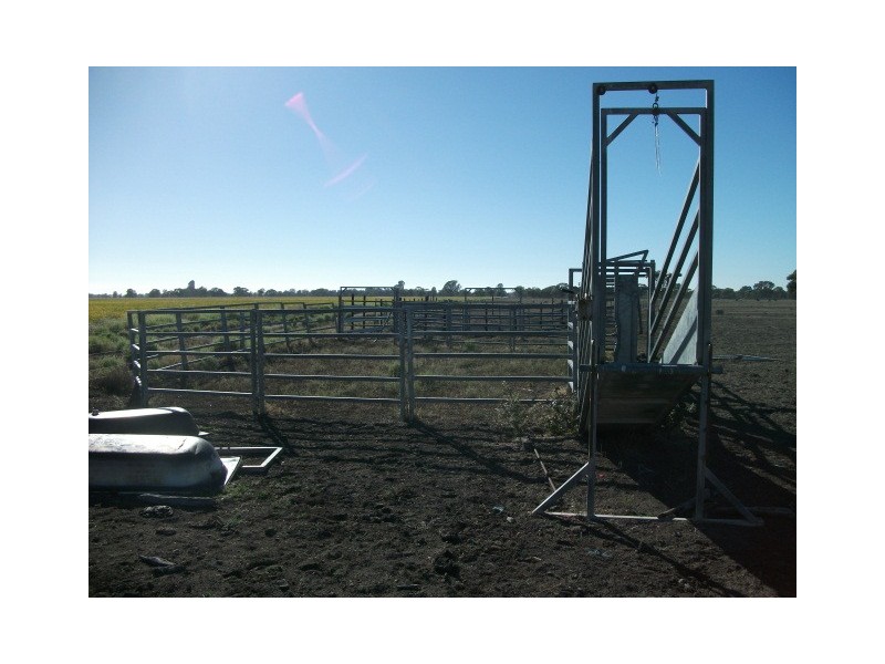 Bush Block Niemur, Barham NSW 2732