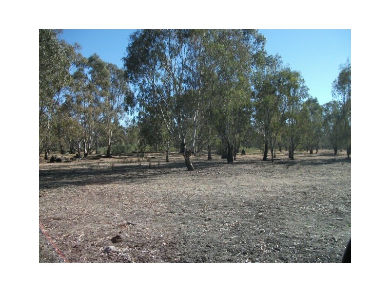 Bush Block Niemur, Barham NSW 2732