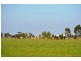 Koo Wee Rup VIC 3981