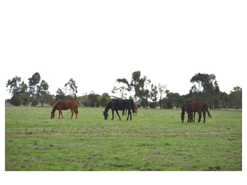 Koo Wee Rup VIC 3981