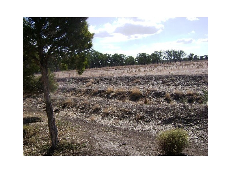 691 Murrabit West Road, Murrabit West VIC 3579