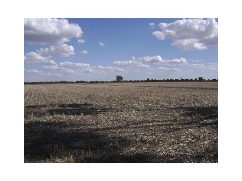 465 Murrabit West Road, Murrabit VIC 3579