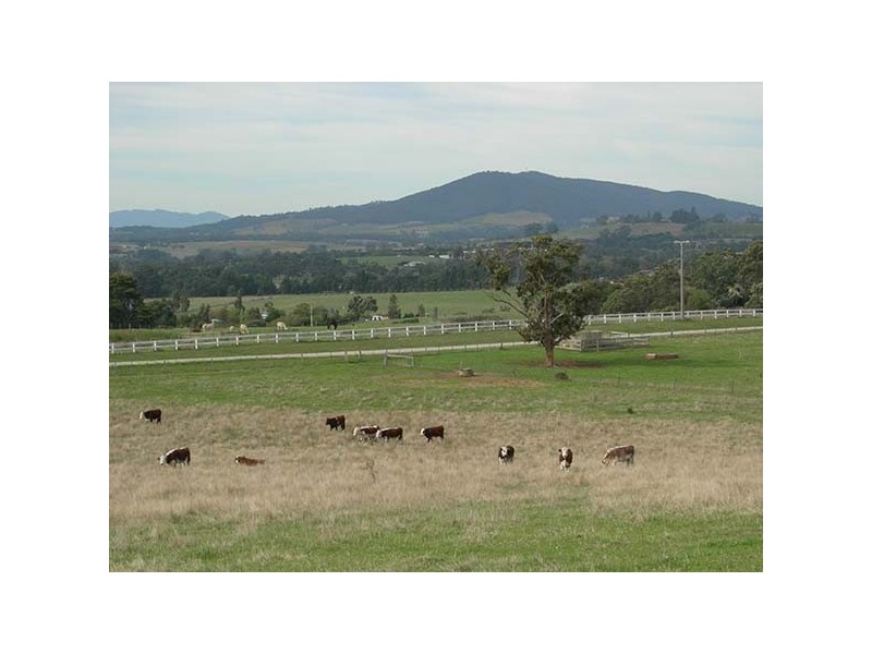 Yarra Glen VIC 3775