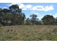 Kilmore East VIC 3764