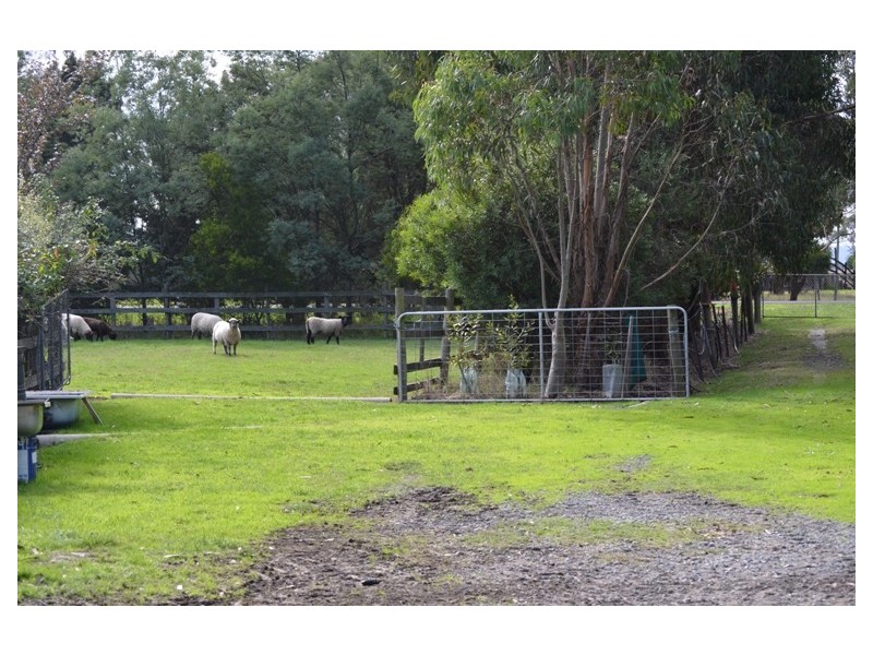 Dalmore VIC 3981