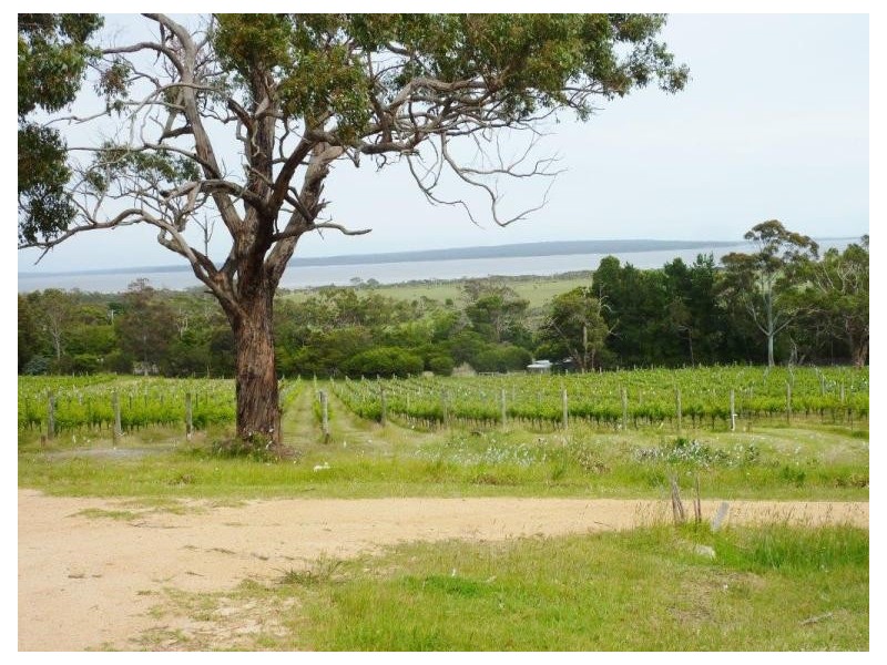 The Gurdies VIC 3984