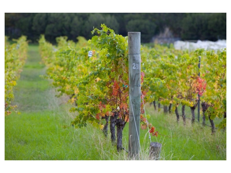 The Gurdies VIC 3984