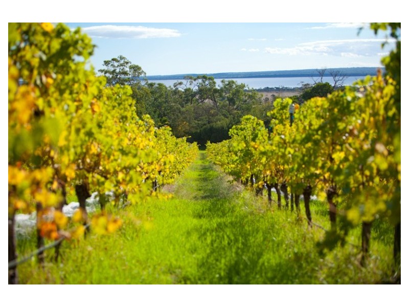 The Gurdies VIC 3984