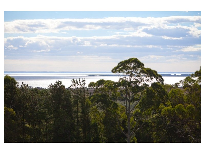 The Gurdies VIC 3984