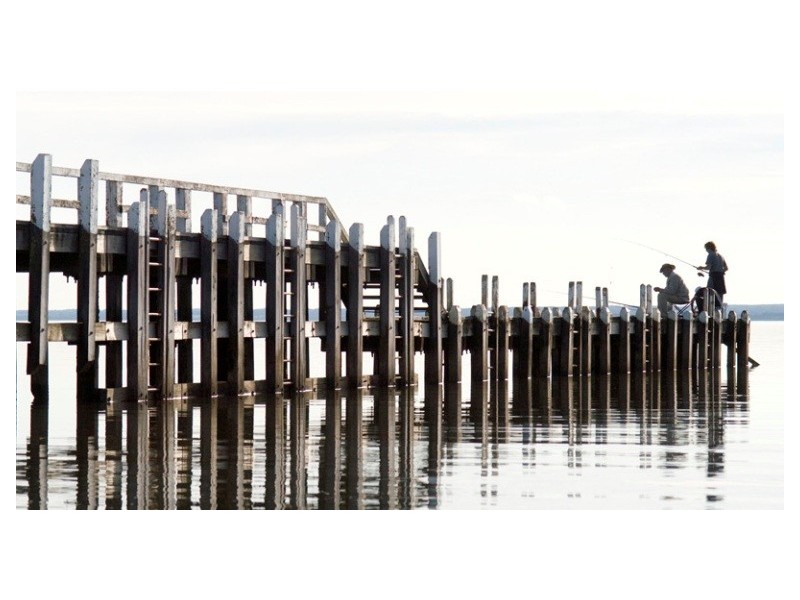 The Gurdies VIC 3984