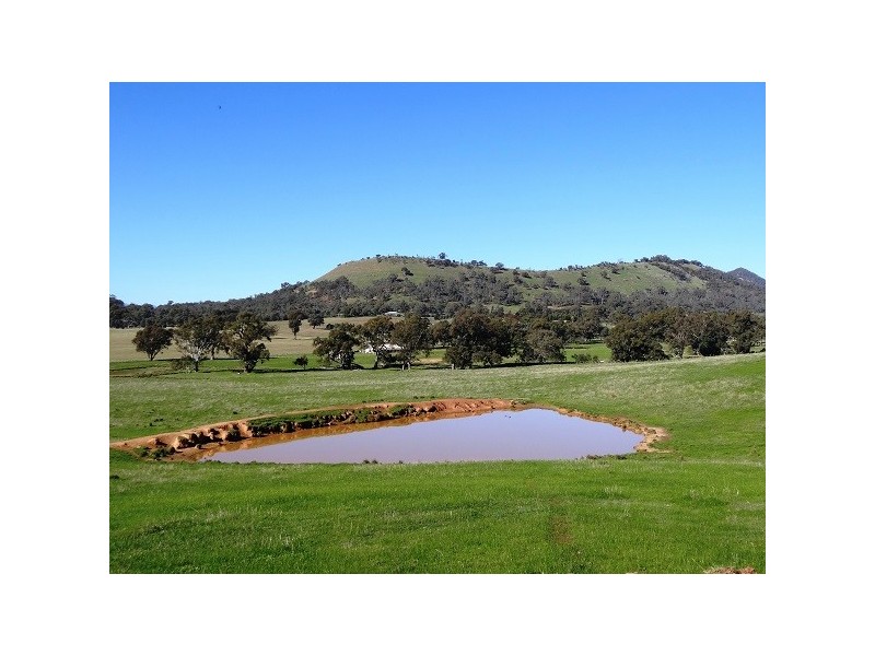Mansfield VIC 3722