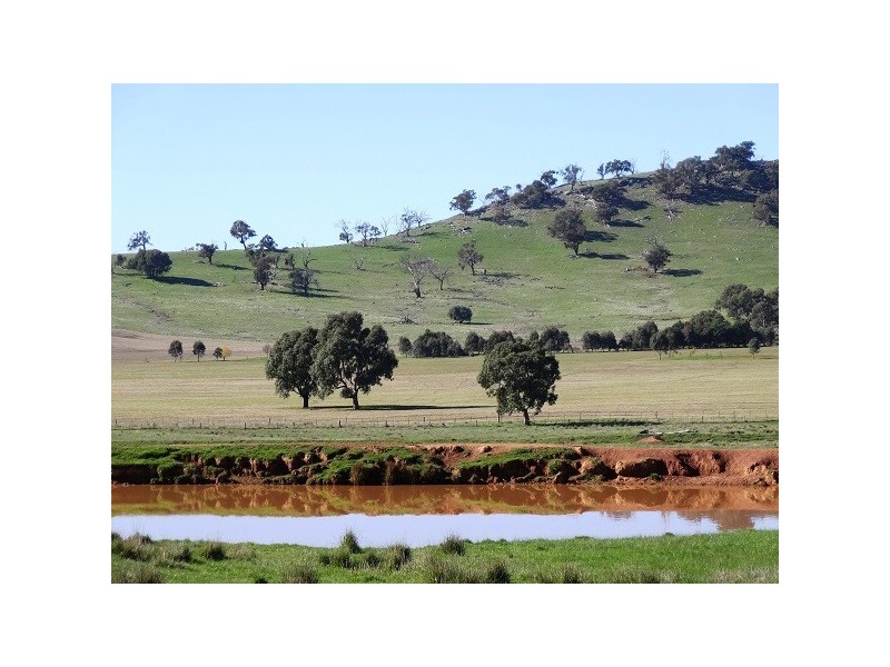 Mansfield VIC 3722