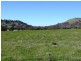 Mansfield VIC 3722