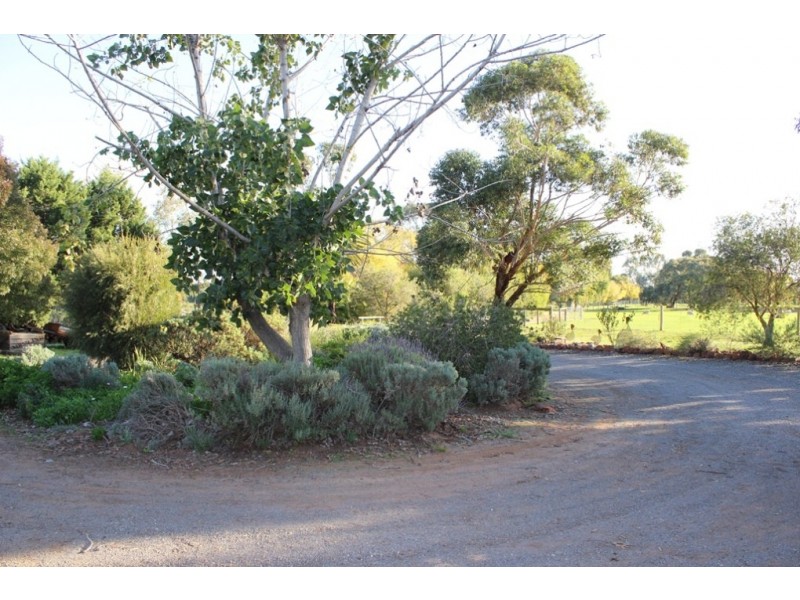94 Willox Road, Murrawee, Swan Hill VIC 3585