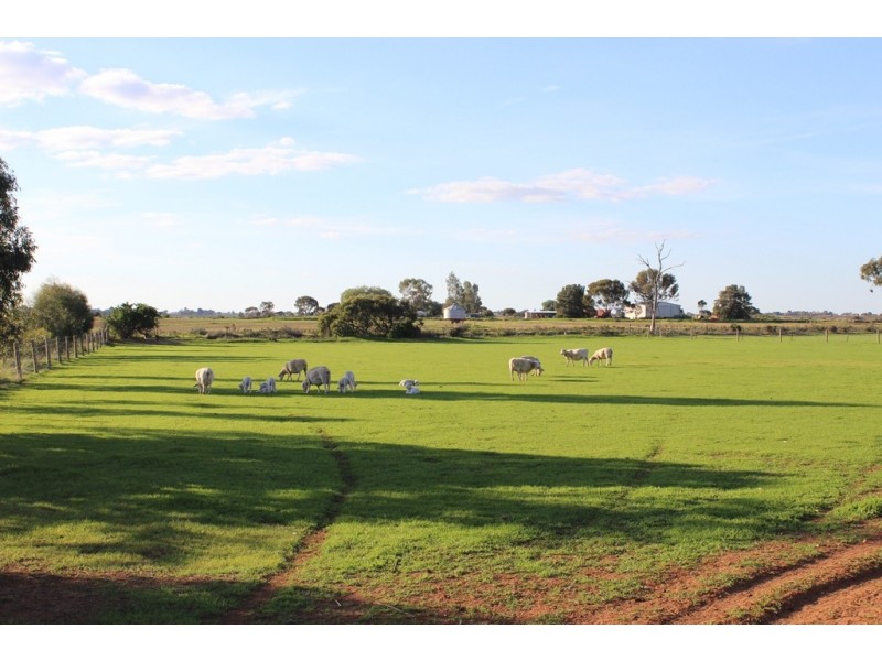 94 Willox Road, Murrawee, Swan Hill VIC 3585