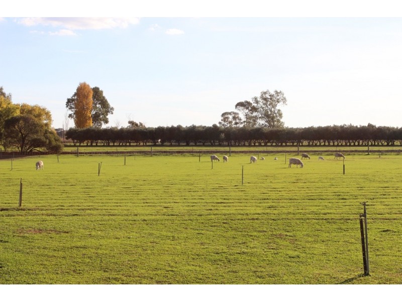 94 Willox Road, Murrawee, Swan Hill VIC 3585