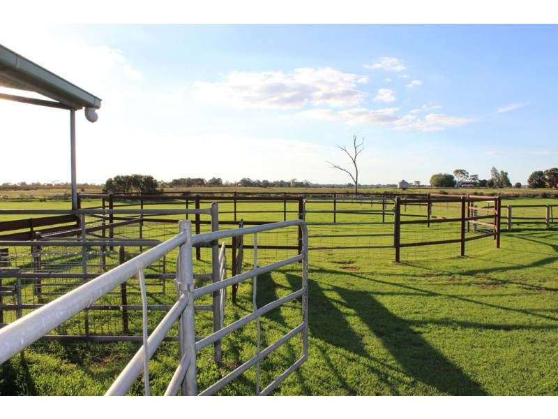 94 Willox Road, Murrawee, Swan Hill VIC 3585