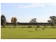 94 Willox Road, Murrawee, Swan Hill VIC 3585