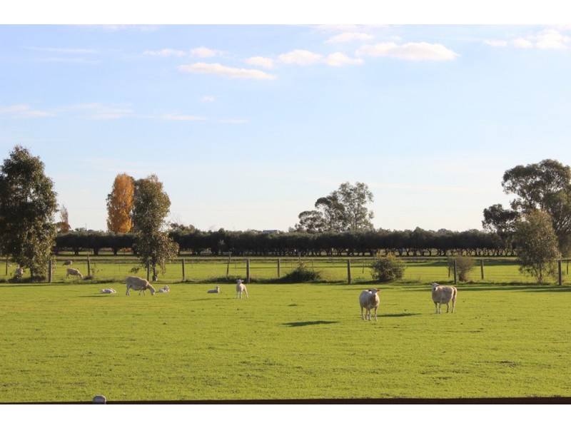 94 Willox Road, Murrawee, Swan Hill VIC 3585