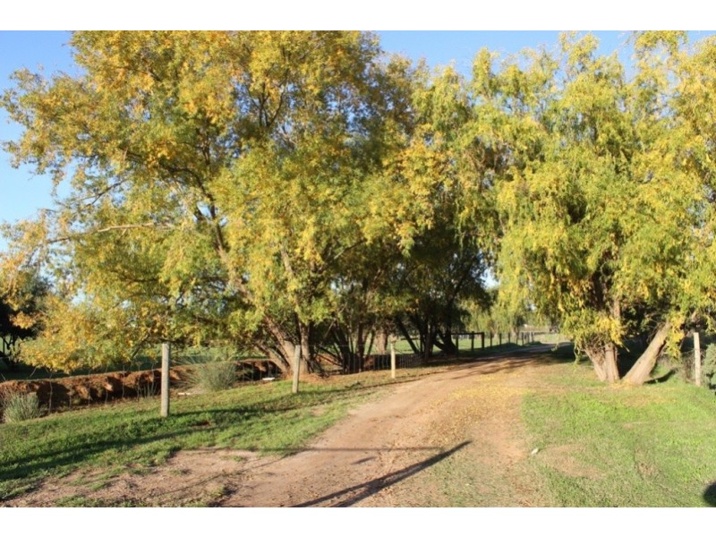 94 Willox Road, Murrawee, Swan Hill VIC 3585