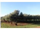 94 Willox Road, Murrawee, Swan Hill VIC 3585