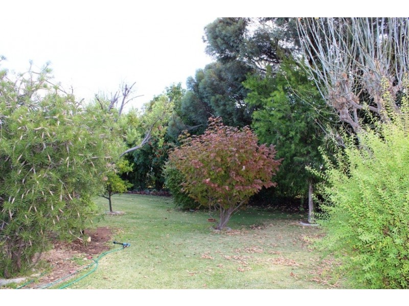 11 Byrnes Lane Nyah, Nyah VIC 3594