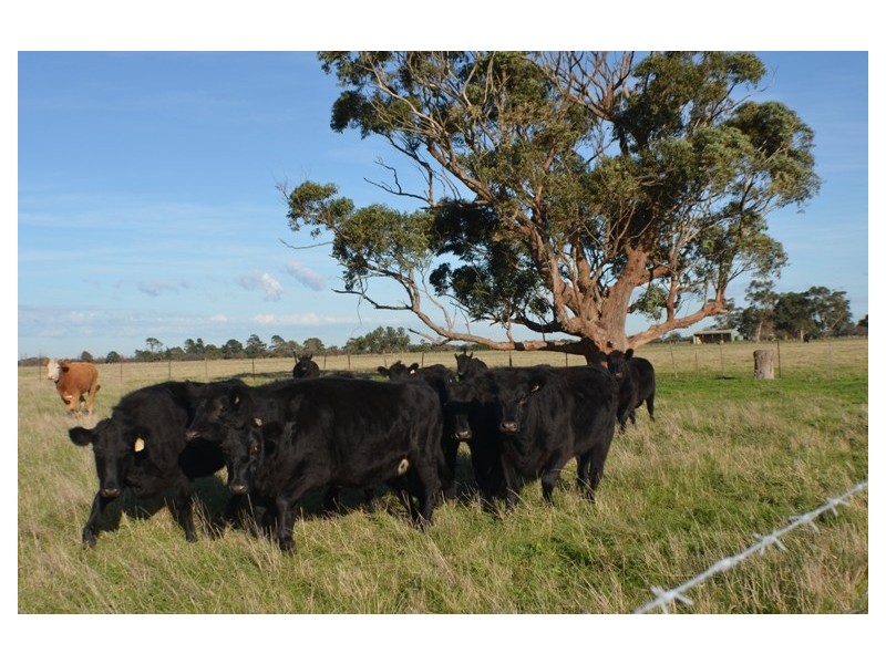 Pakenham South VIC 3810