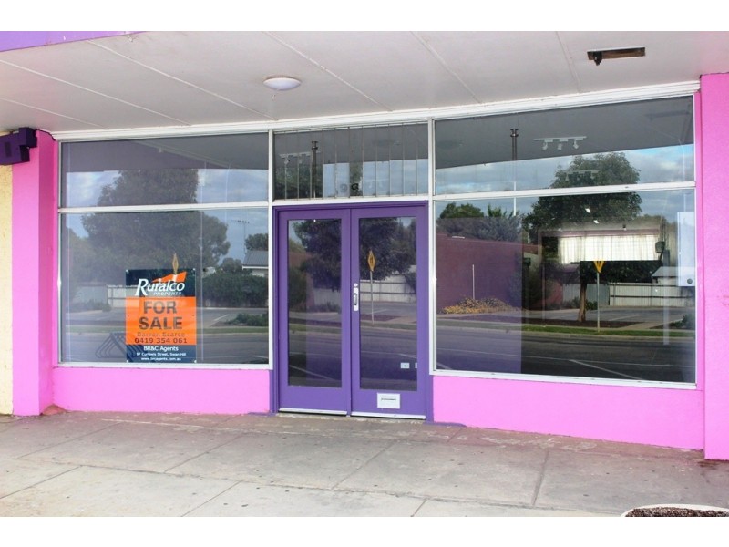 94 Chapman Street, Swan Hill VIC 3585