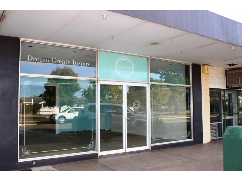 98 Chapman Street, Swan Hill VIC 3585