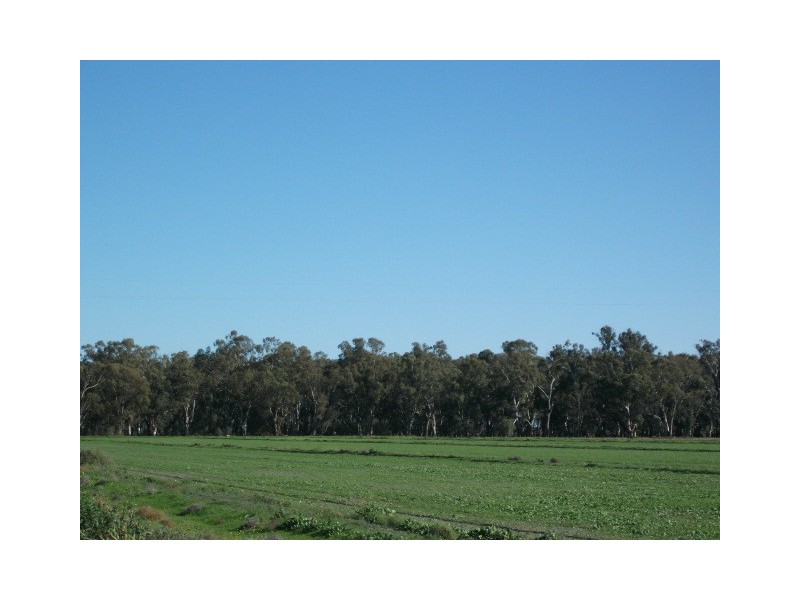 00 Edwards River, Barham NSW 2732