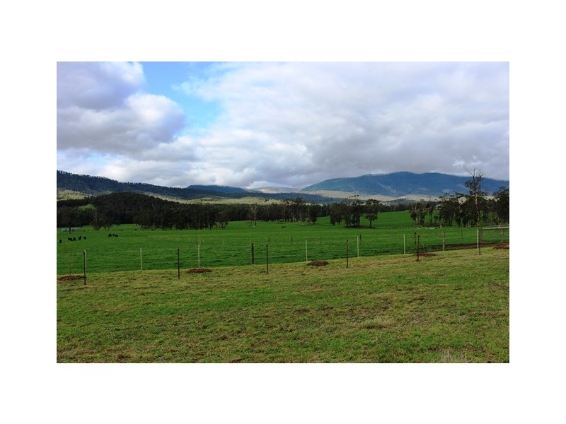 990 Maroondah Hwy, Narbethong VIC 3778