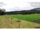990 Maroondah Hwy, Narbethong VIC 3778