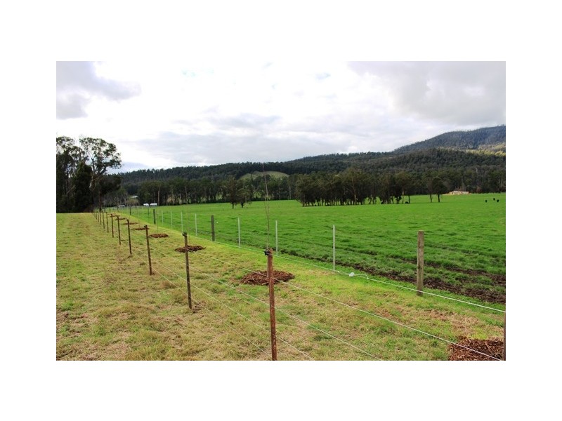 990 Maroondah Hwy, Narbethong VIC 3778