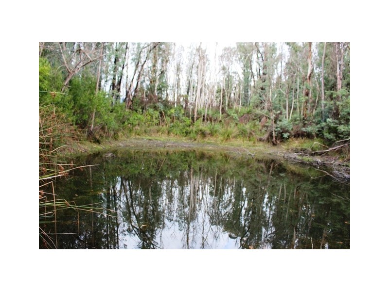 990 Maroondah Hwy, Narbethong VIC 3778