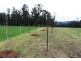 990 Maroondah Hwy, Narbethong VIC 3778