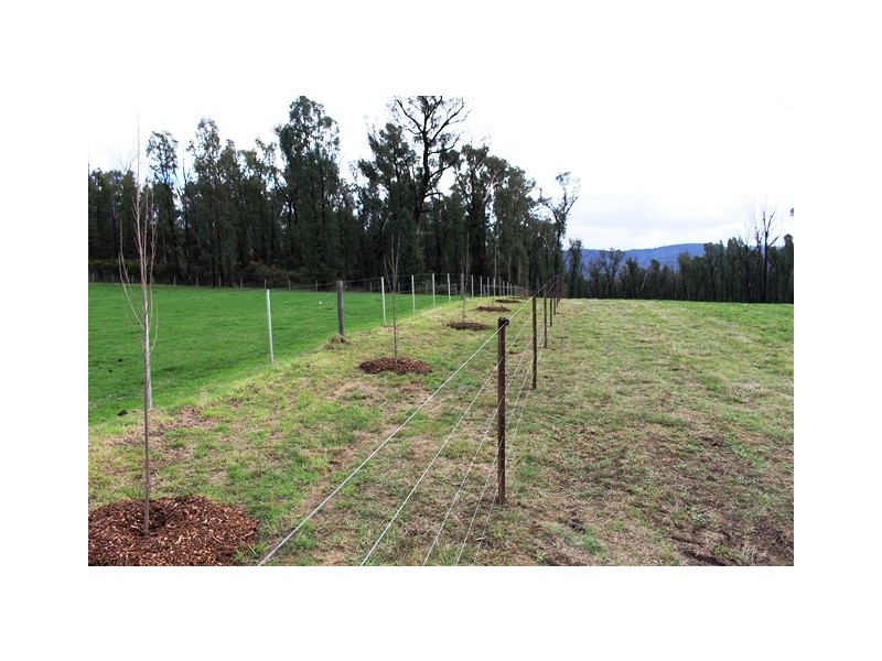 990 Maroondah Hwy, Narbethong VIC 3778