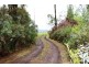 990 Maroondah Hwy, Narbethong VIC 3778