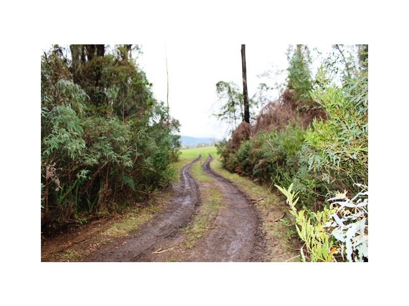 990 Maroondah Hwy, Narbethong VIC 3778