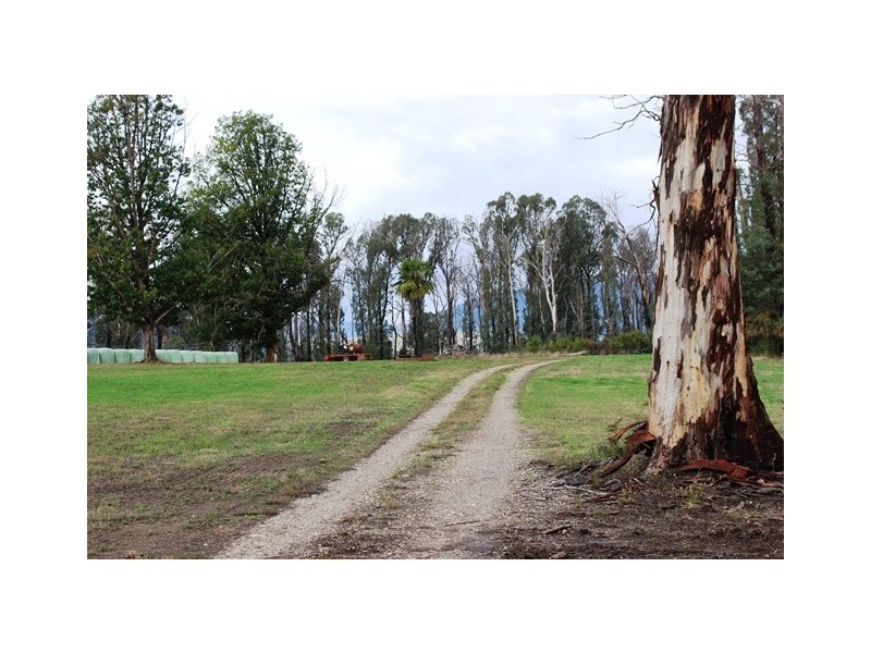 990 Maroondah Hwy, Narbethong VIC 3778