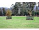 990 Maroondah Hwy, Narbethong VIC 3778