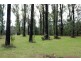 990 Maroondah Hwy, Narbethong VIC 3778