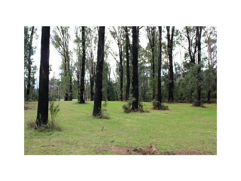 990 Maroondah Hwy, Narbethong VIC 3778