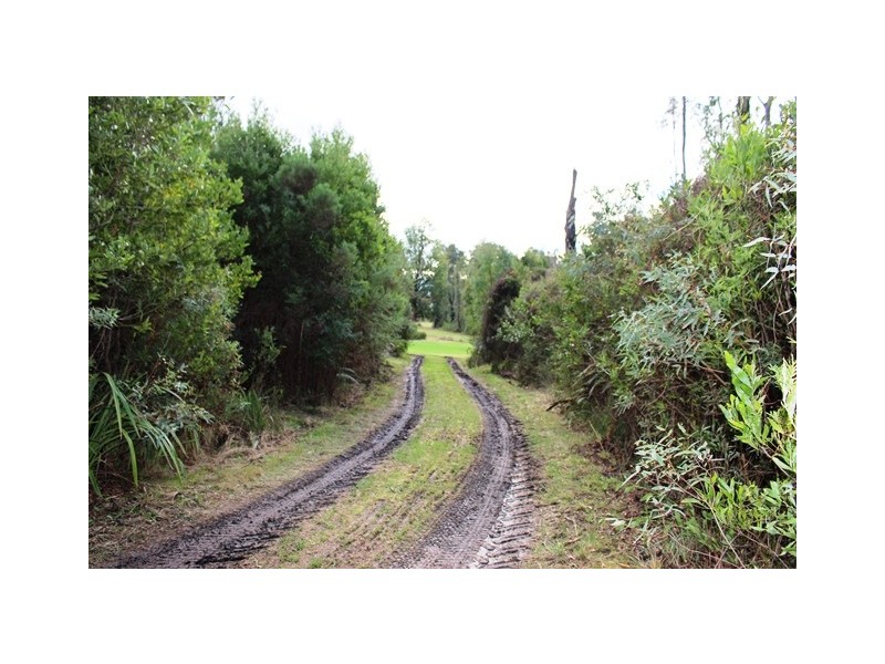 990 Maroondah Hwy, Narbethong VIC 3778