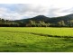 Lots1-3 / 1064 Buxton Marysvills Rd, Marysville VIC 3779