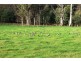 Lots1-3 / 1064 Buxton Marysvills Rd, Marysville VIC 3779
