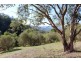 Lot 8 Ti Tree Drive, Eildon VIC 3713