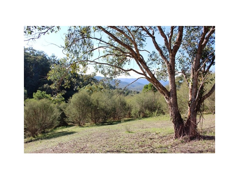 Lot 8 Ti Tree Drive, Eildon VIC 3713